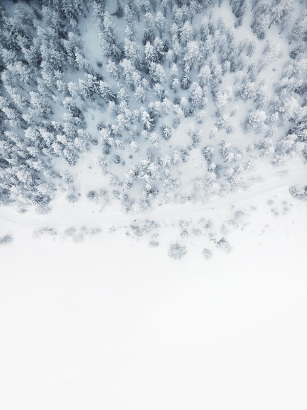 Ski Bus
